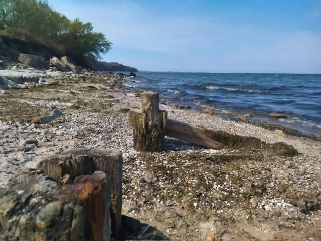 Апартаменты Torpedownia Гдыня